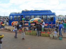 Safari Yetu.JPG