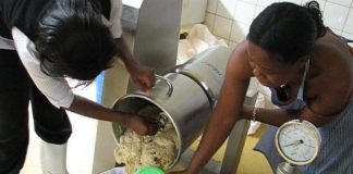 Banana Juicer.jpg