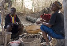 oysters-gambia.jpg